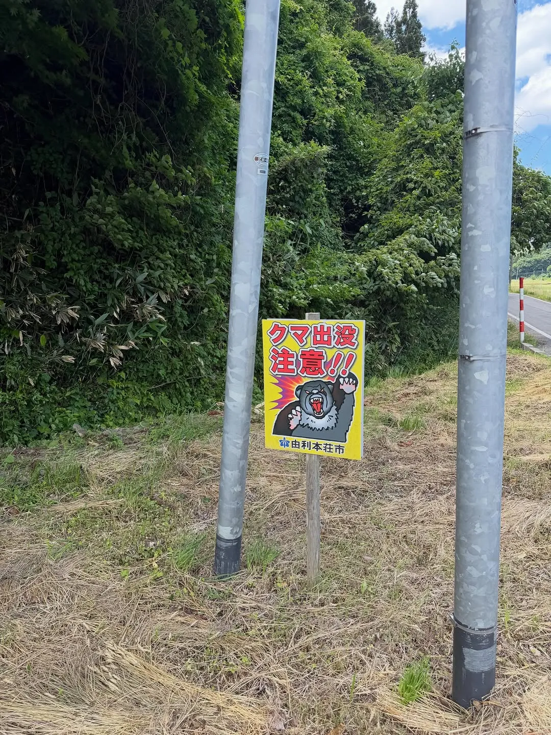 金山地域で変わった自販機を発見！（2枚目）