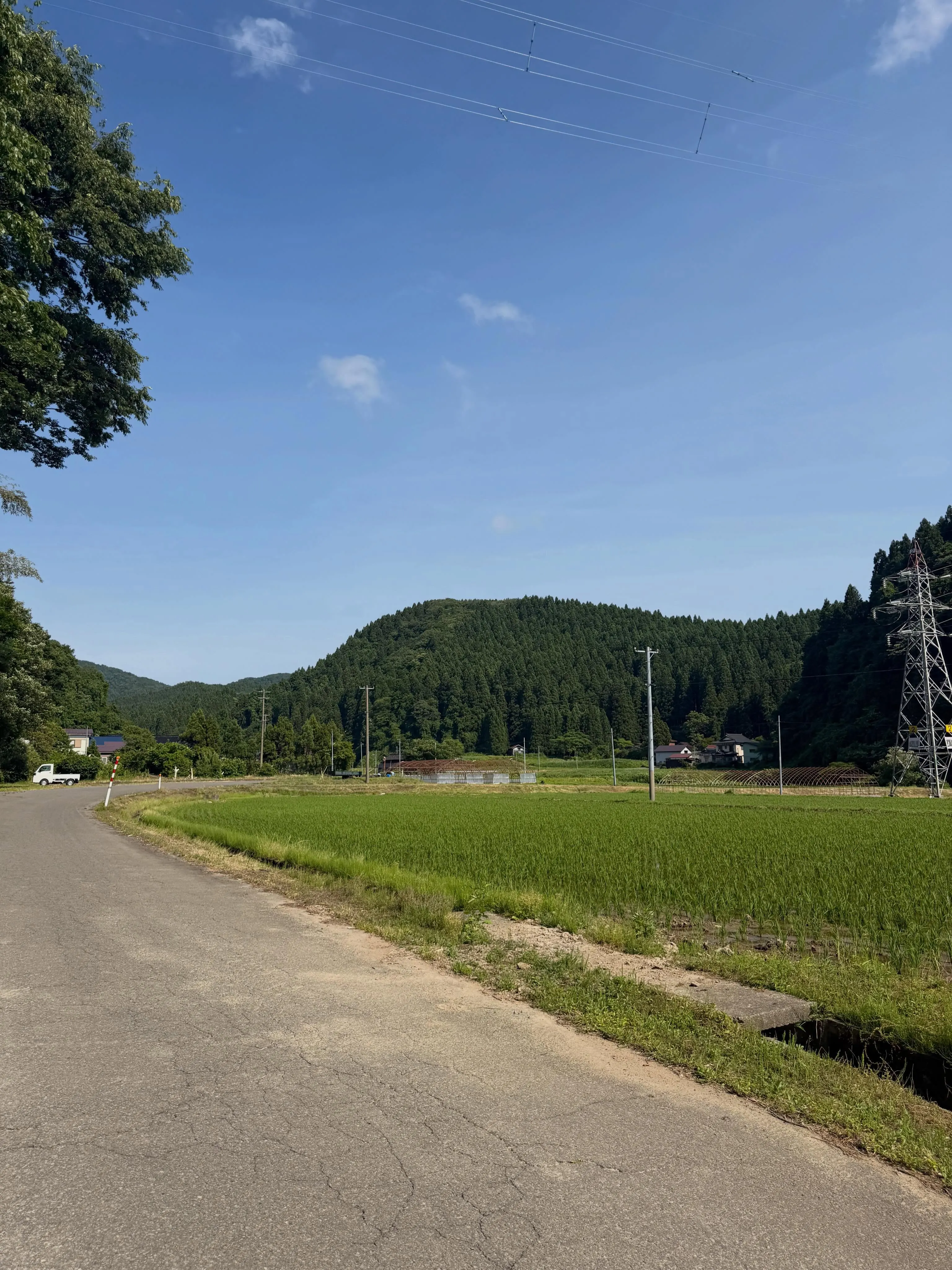 【地域交通】