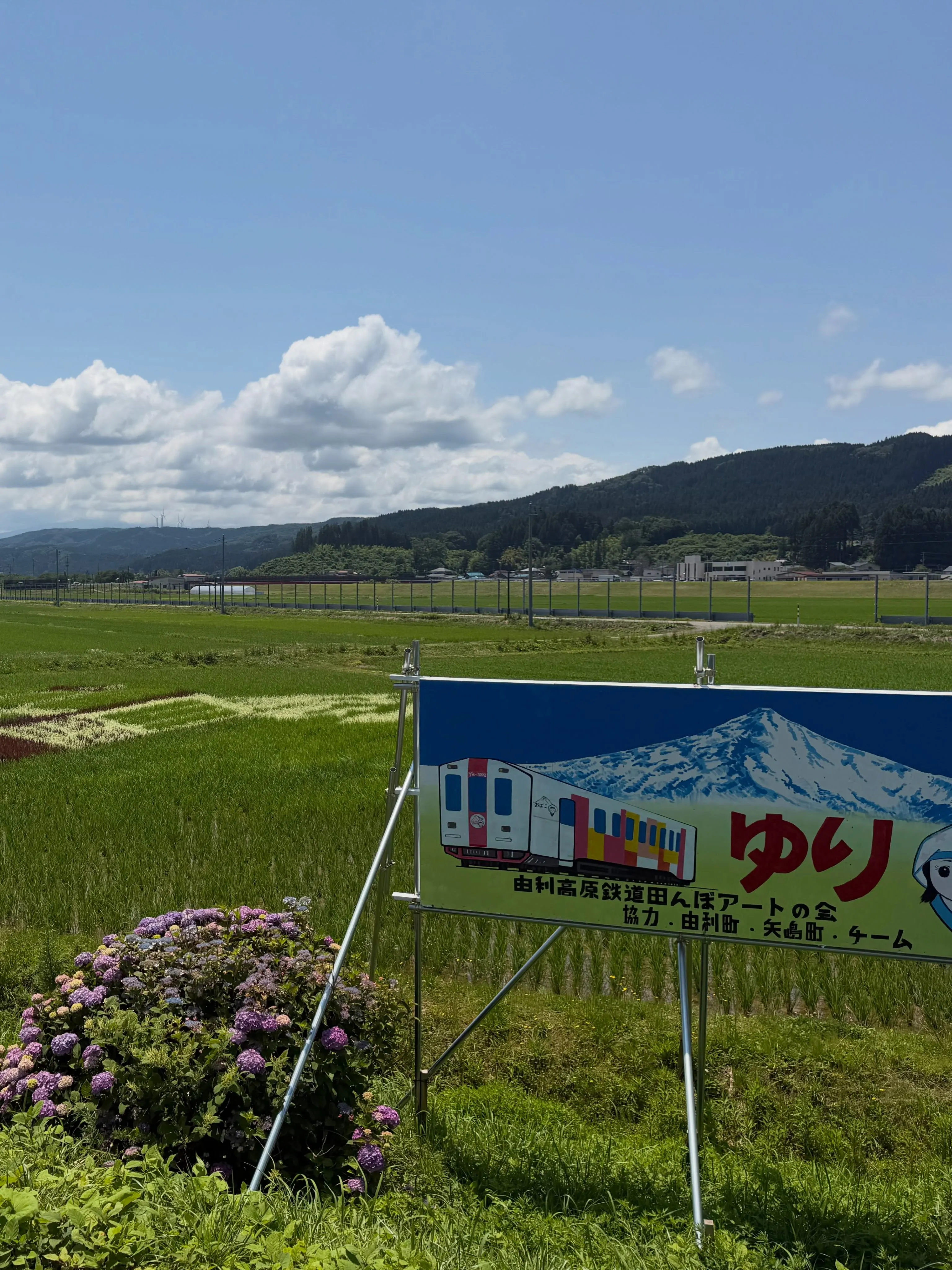 田んぼの真ん中にポツンと建っている曲沢駅。（2枚目）